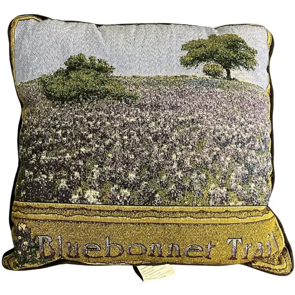 2 Bluebonnet Trail 16X16 Texas Lone Star State 12X8 Tapestry Throw/Lumbar Pillow
